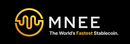 MNEE Hackathon: Programmable Money